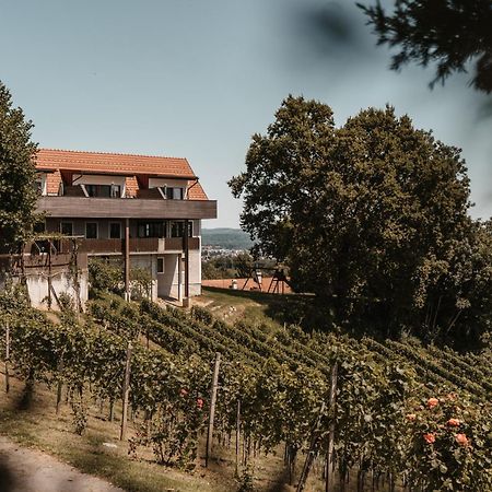 Вилла Weingut Assigal Лейбниц Экстерьер фото
