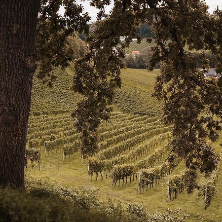 Вилла Weingut Assigal Лейбниц Экстерьер фото