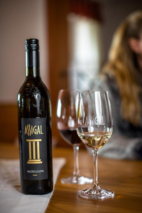Вилла Weingut Assigal Лейбниц Экстерьер фото